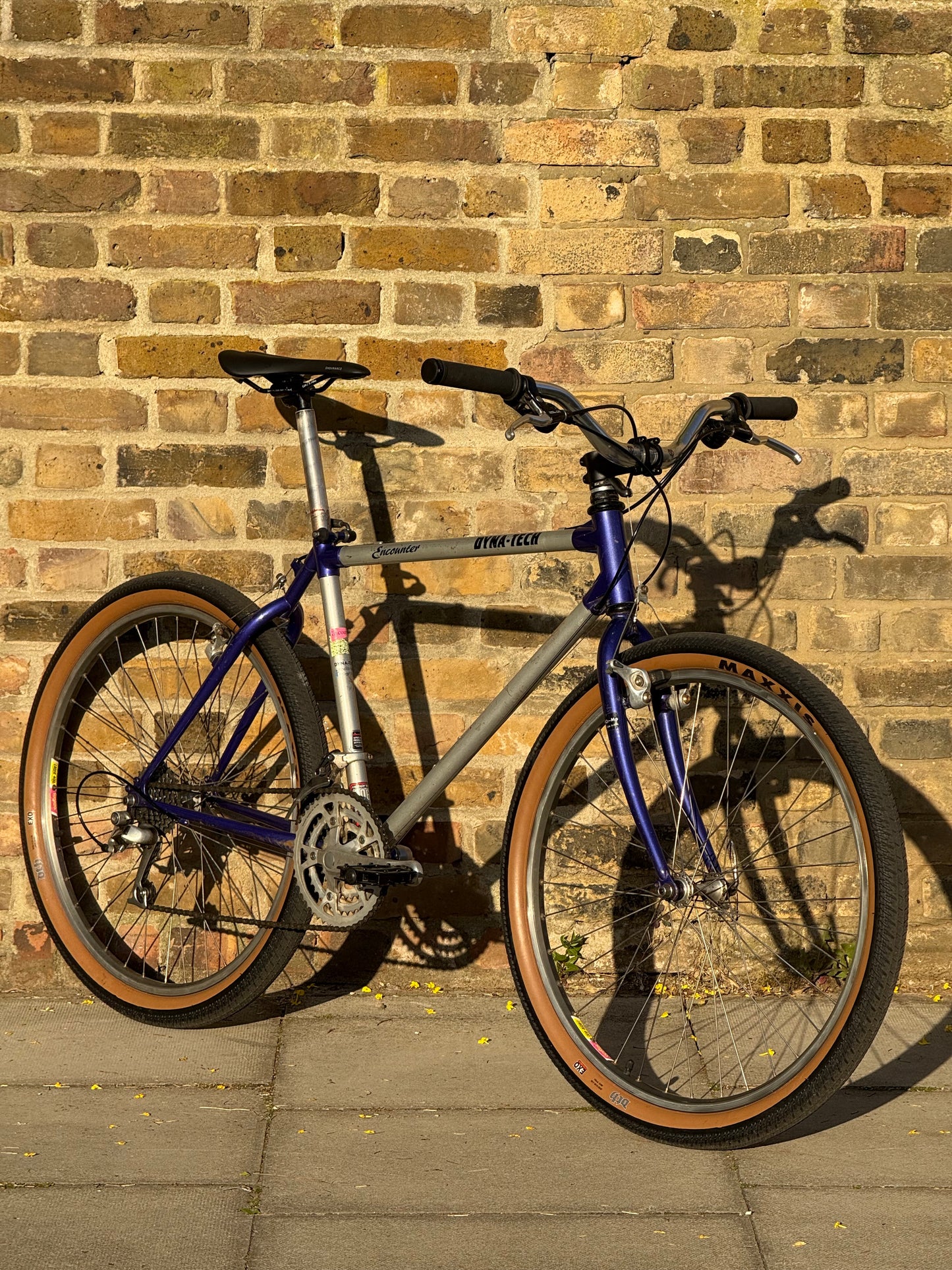 1991 Raleigh Encounter