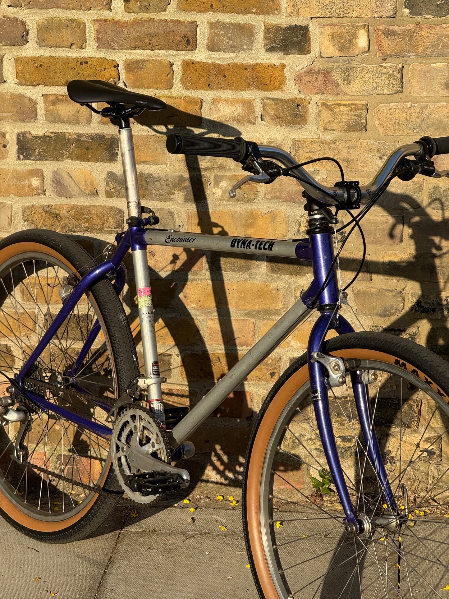 1991 Raleigh Encounter