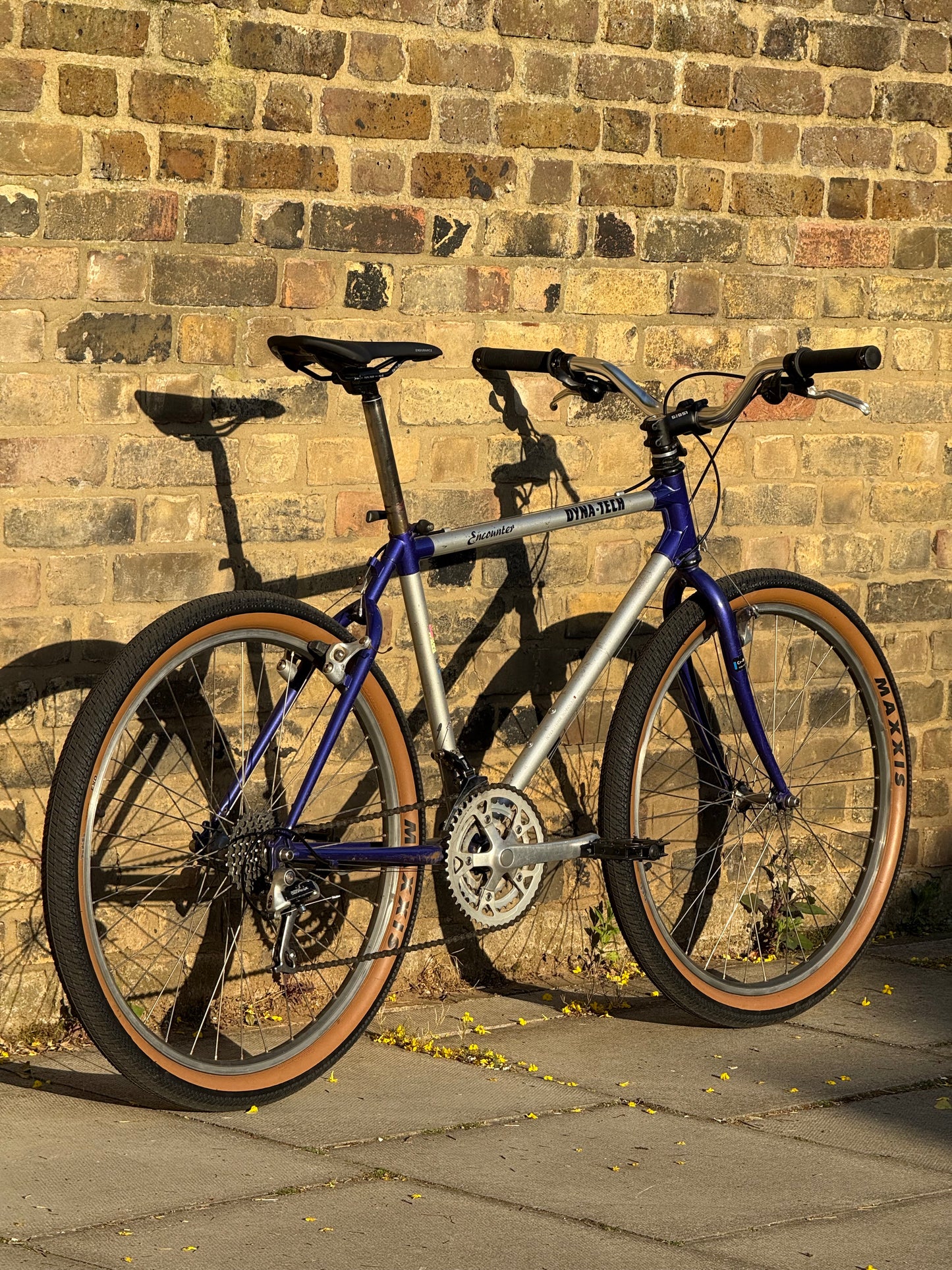1991 Raleigh Encounter