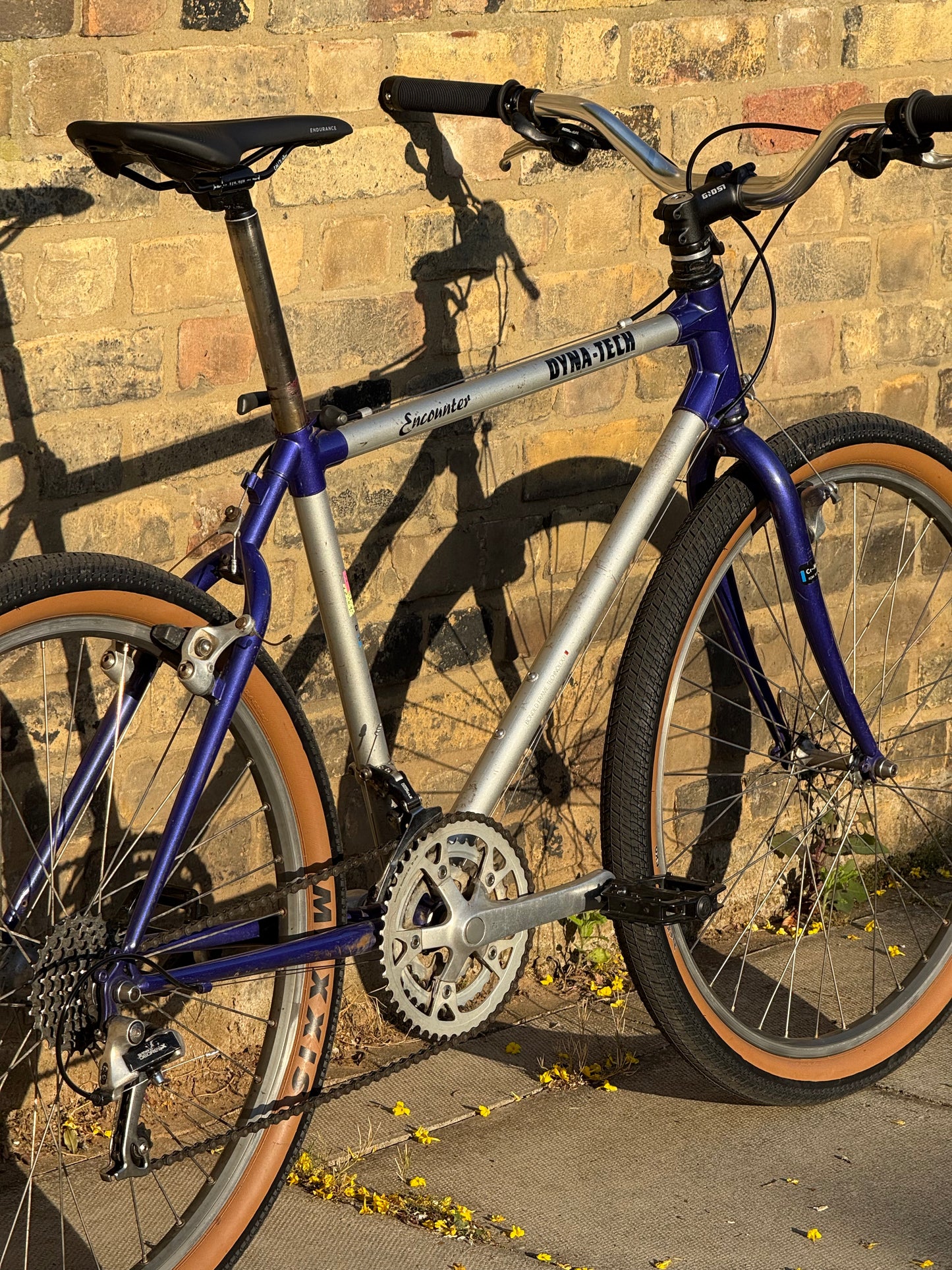 1991 Raleigh Encounter