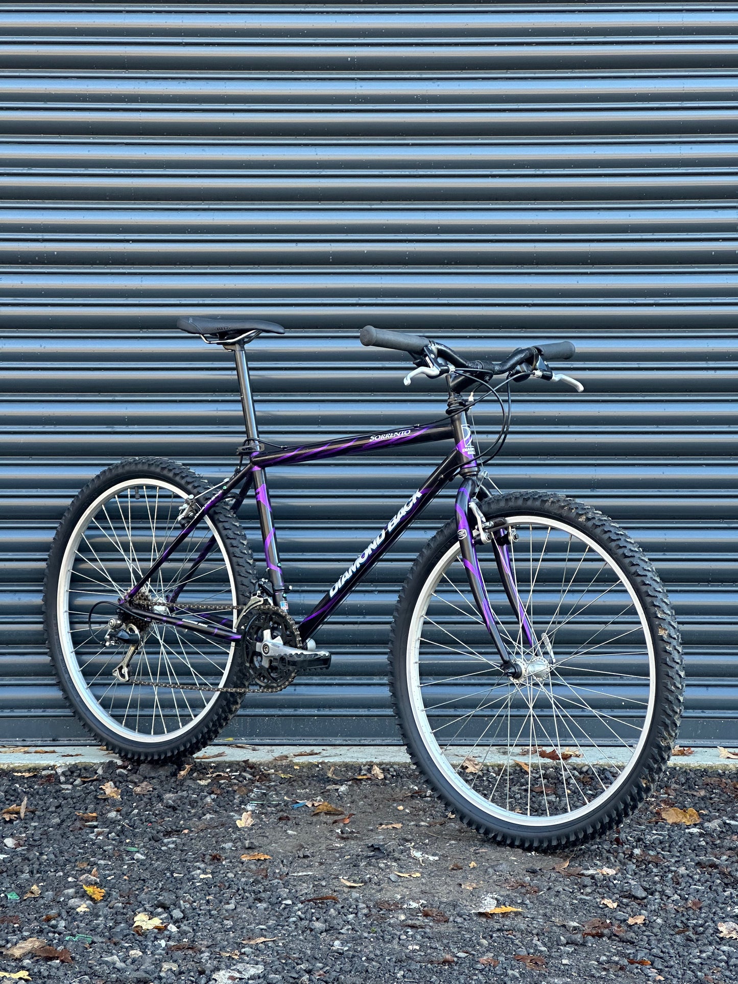 1994 Diamond Back Sorrento