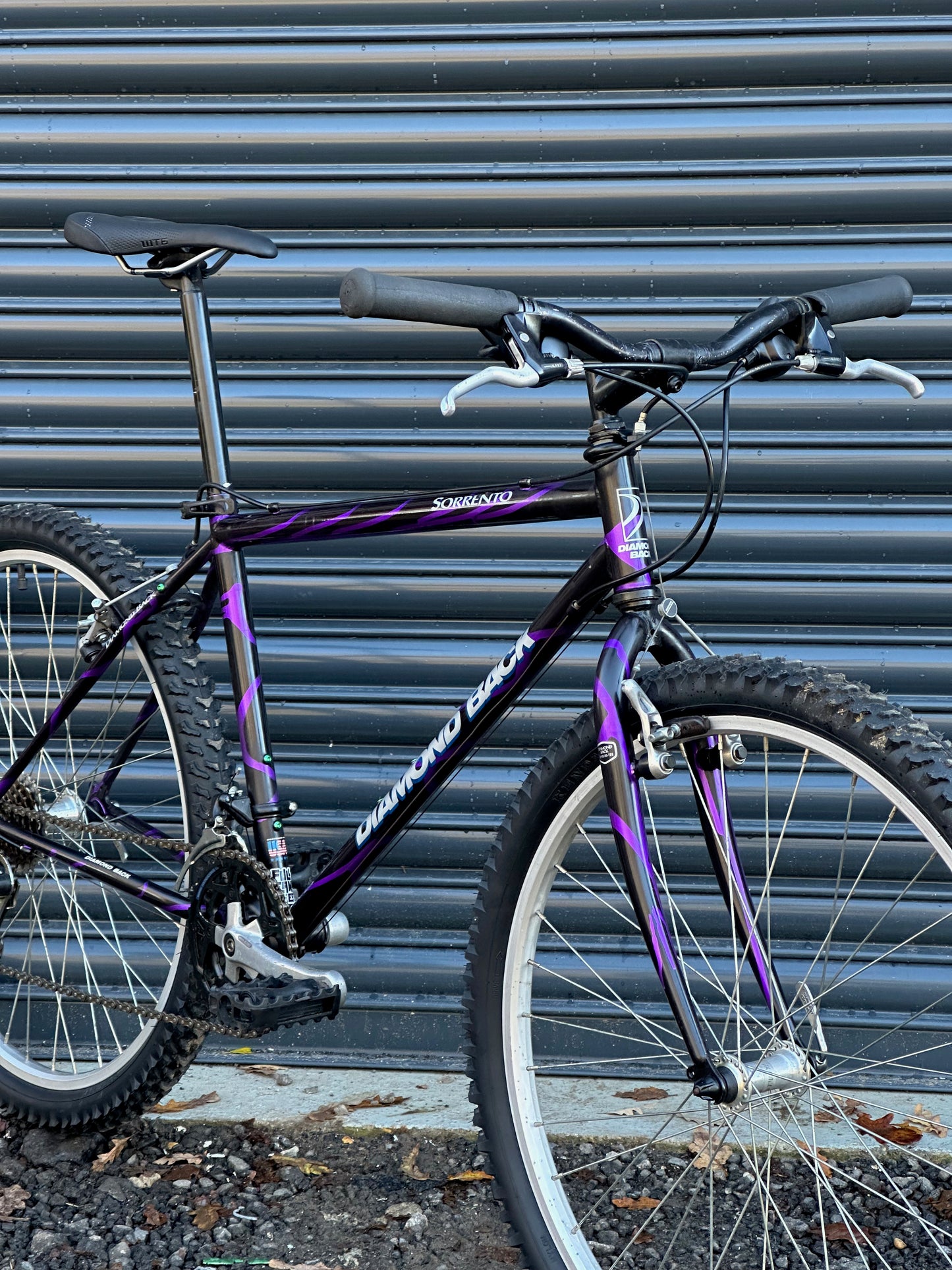 1994 Diamond Back Sorrento