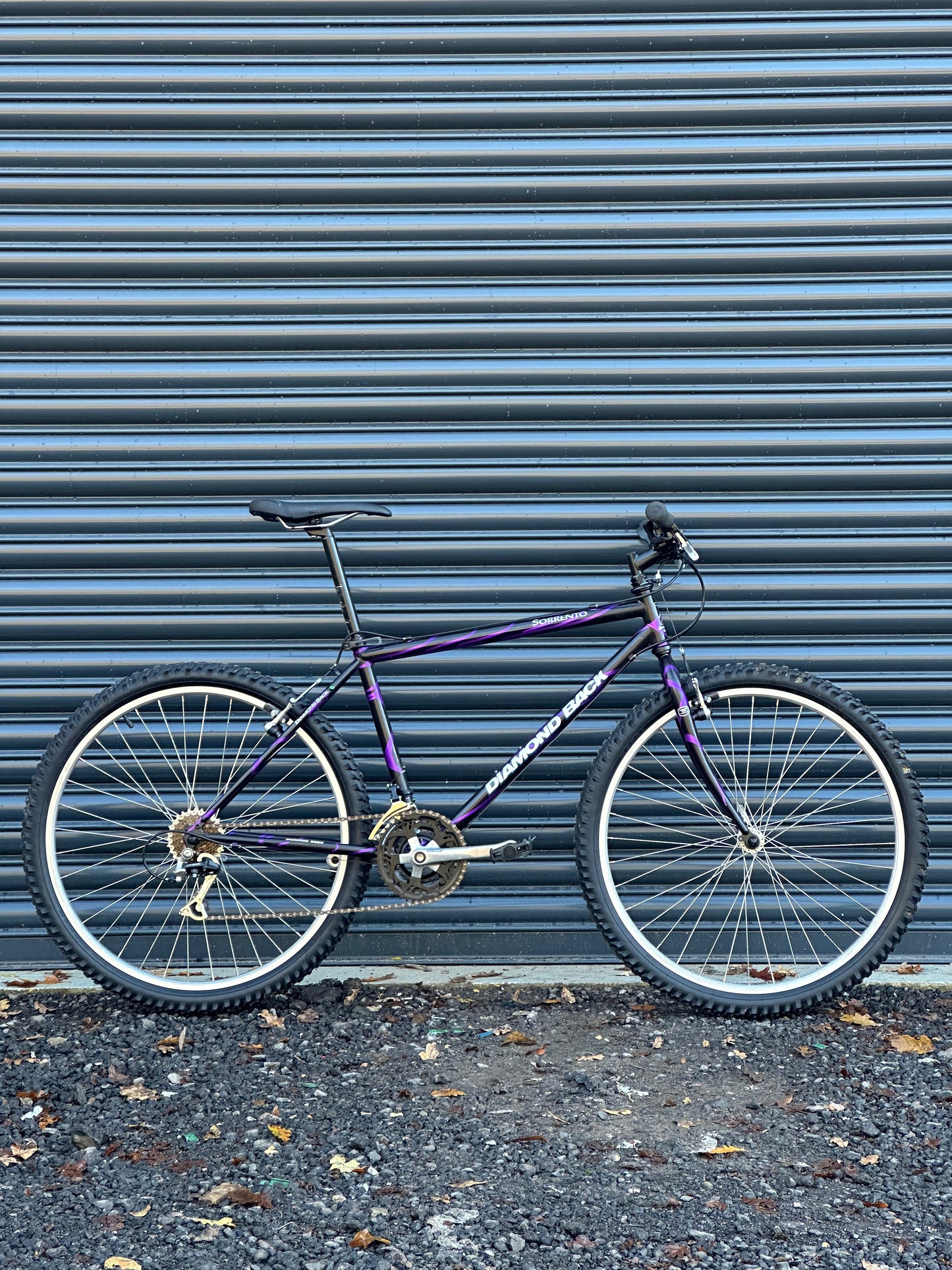 1994 Diamond Back Sorrento