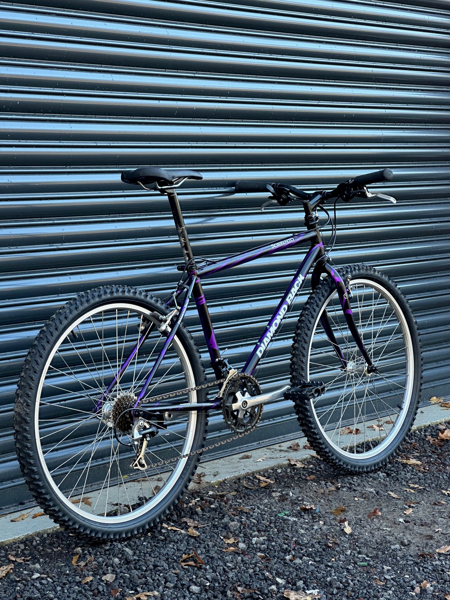 1994 Diamond Back Sorrento