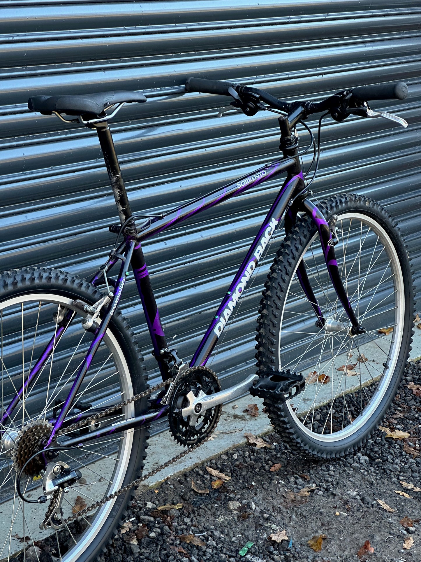 1994 Diamond Back Sorrento