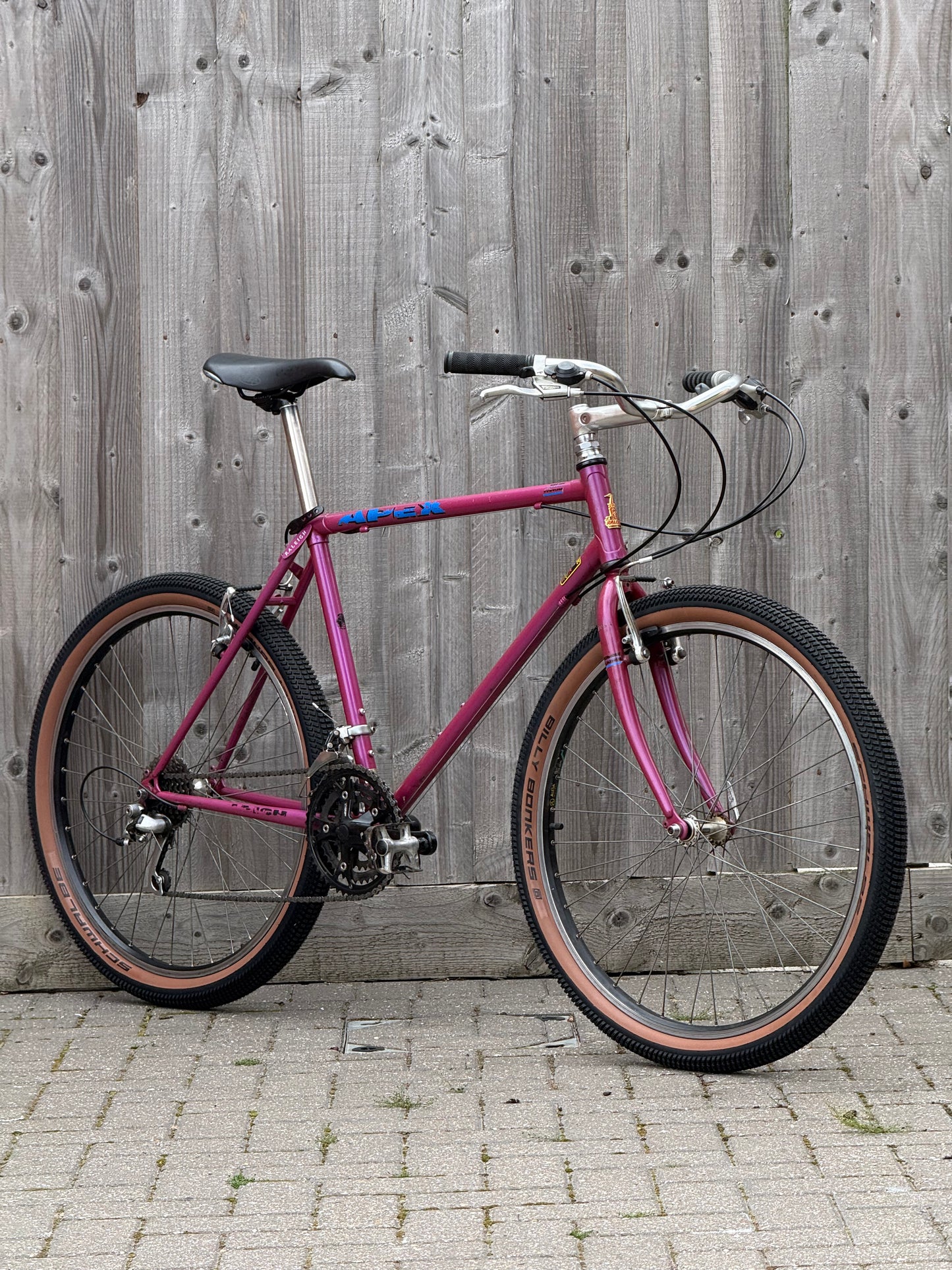 1993 Raleigh Apex