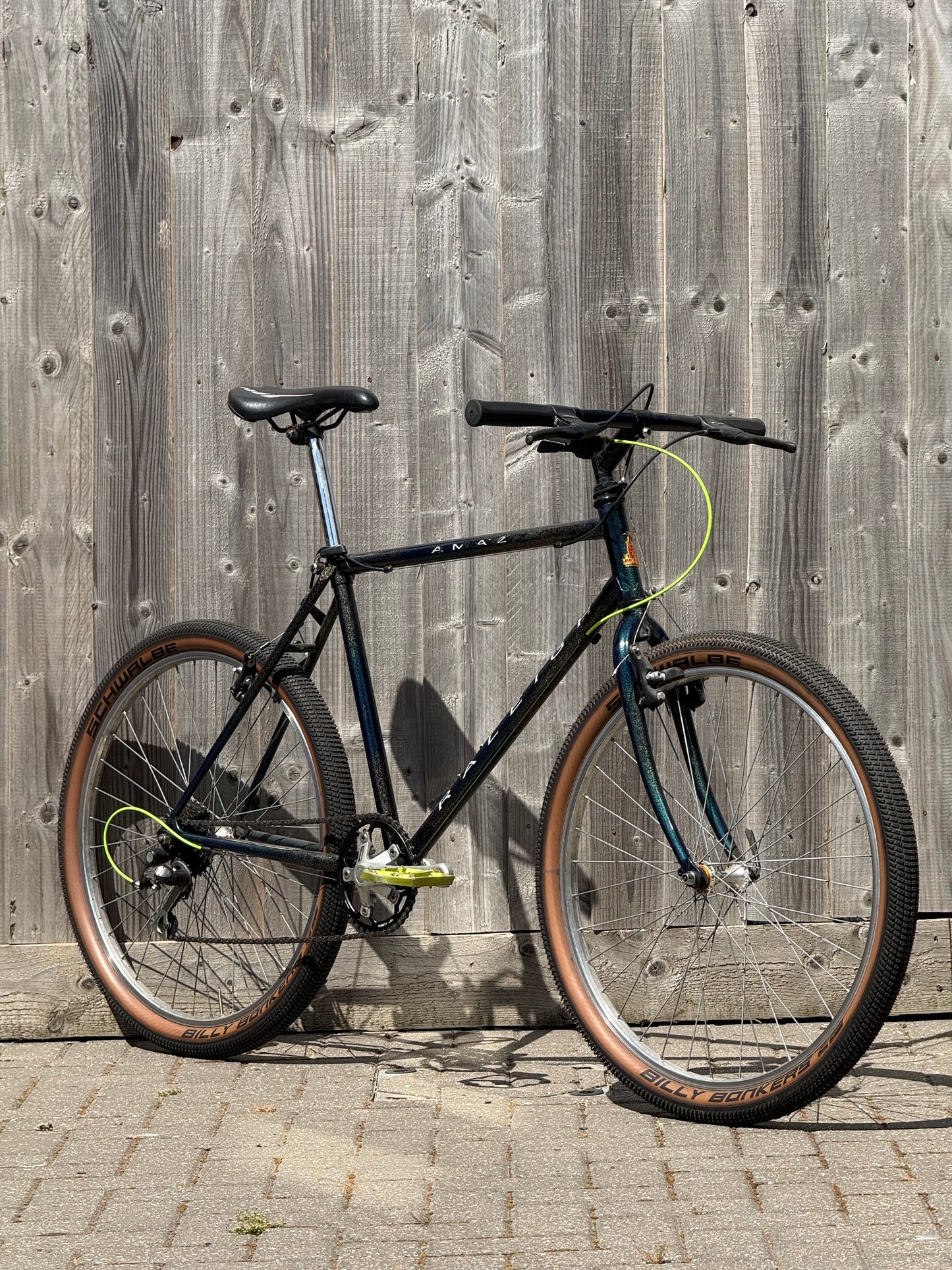 1993 Raleigh Amazon