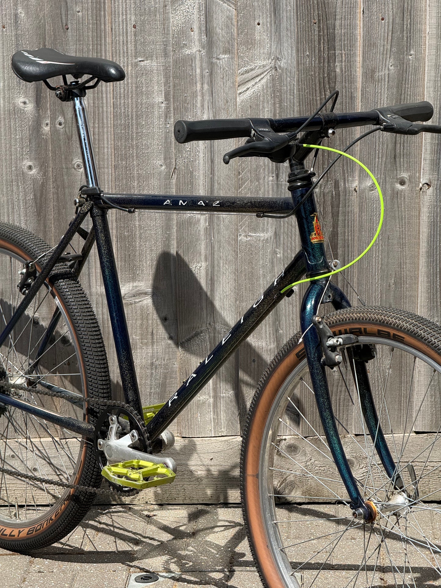 1993 Raleigh Amazon