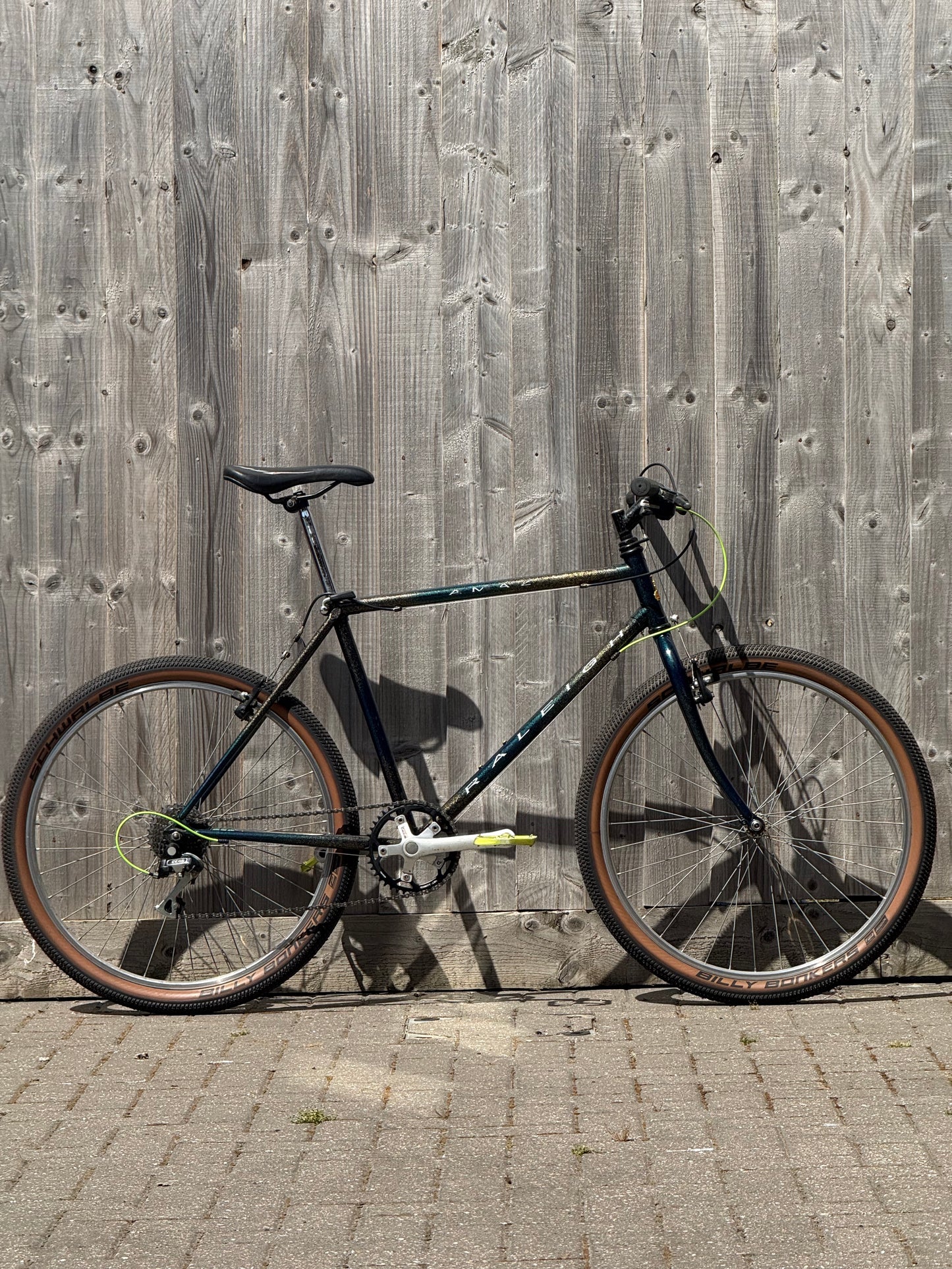 1993 Raleigh Amazon