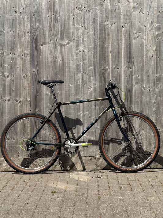 1993 Raleigh Amazon