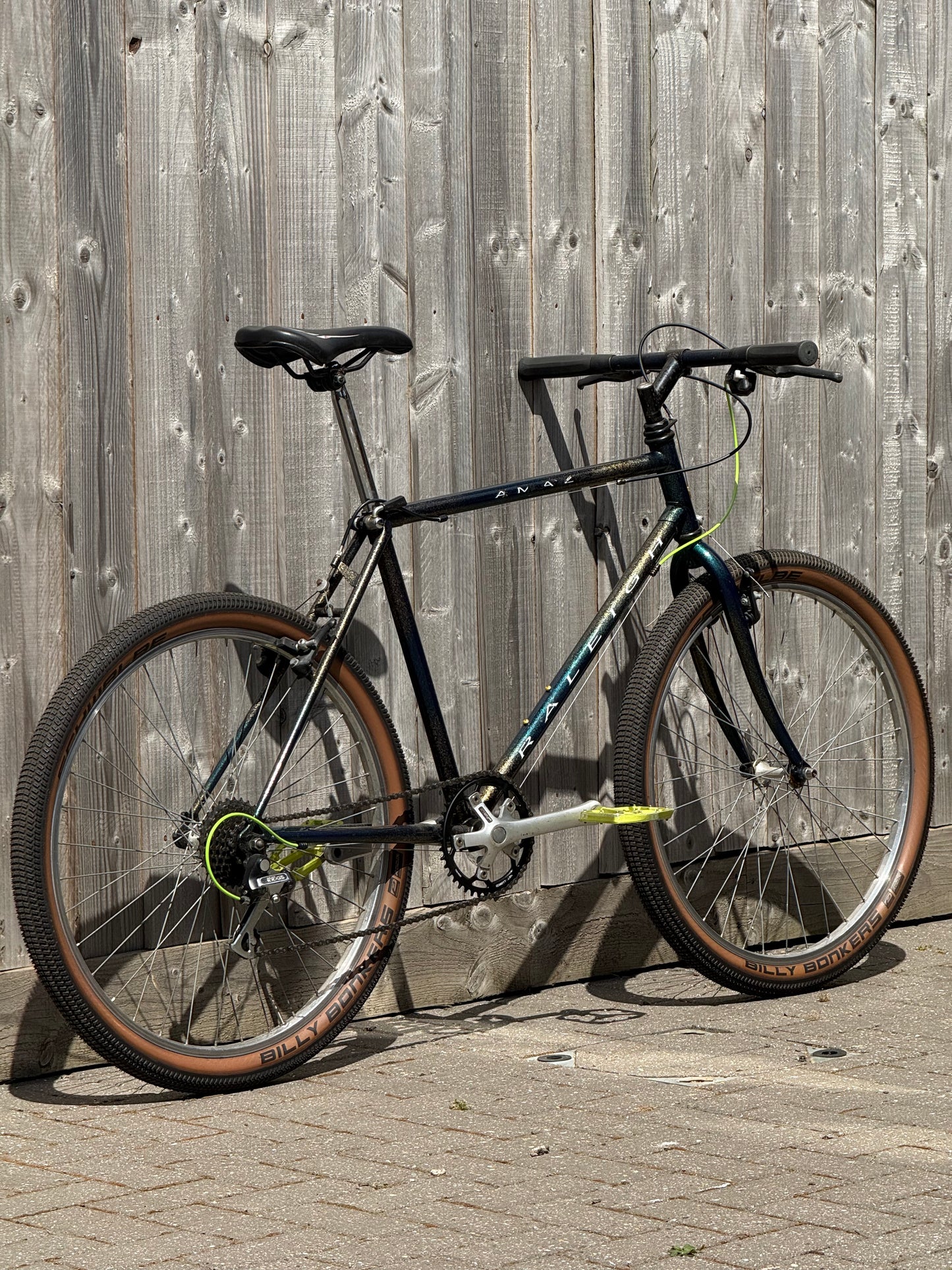 1993 Raleigh Amazon