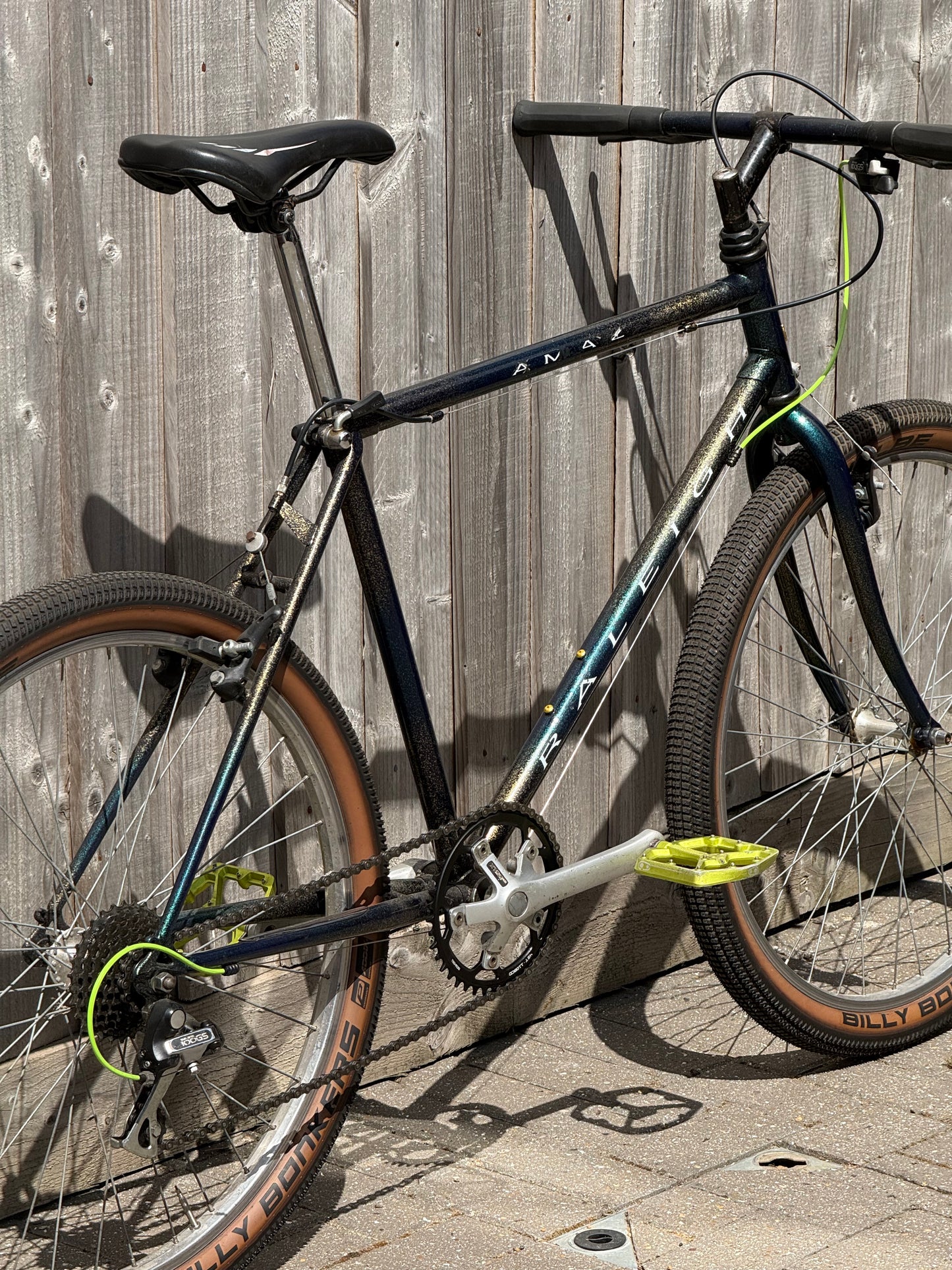 1993 Raleigh Amazon