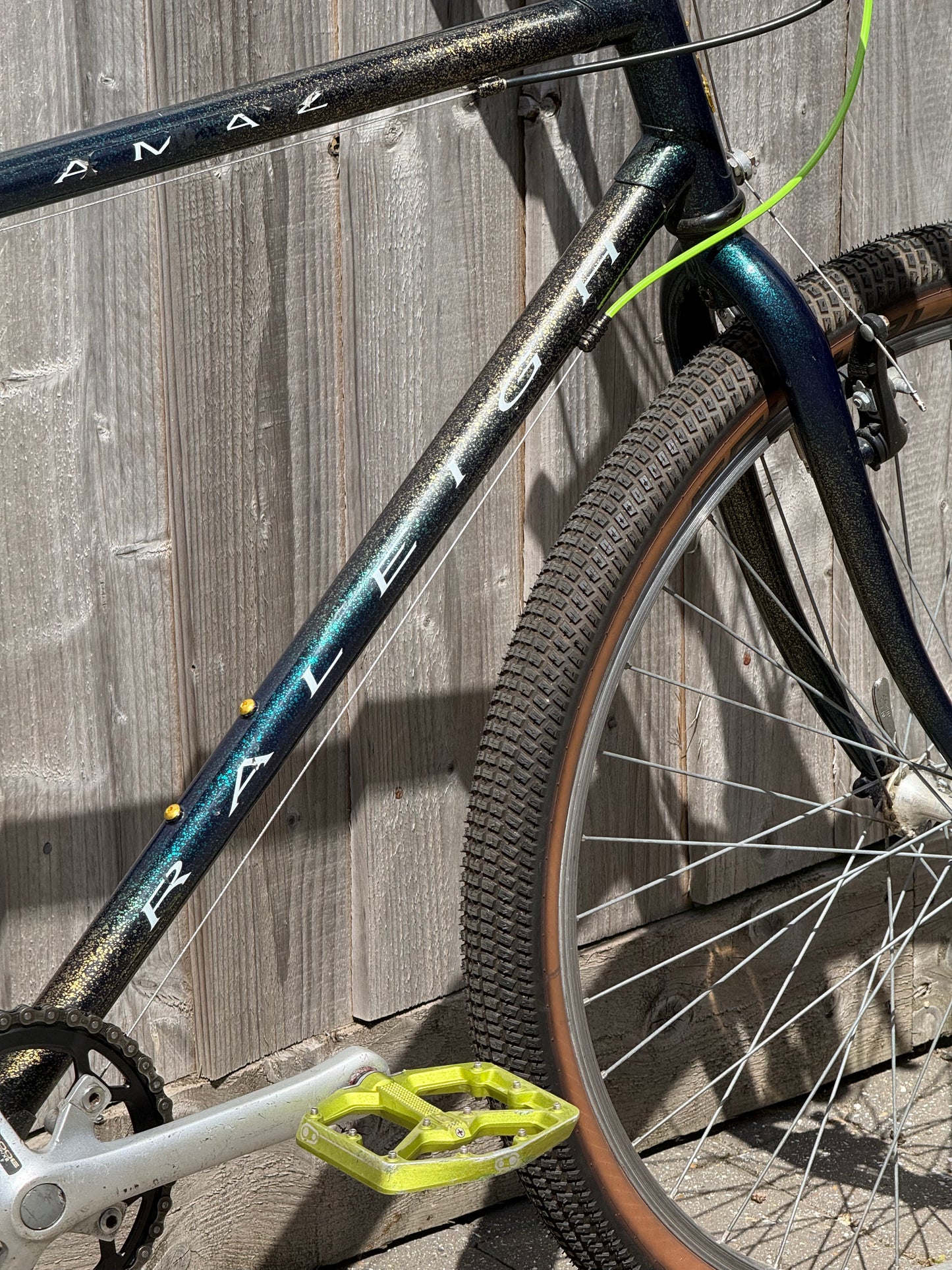 1993 Raleigh Amazon
