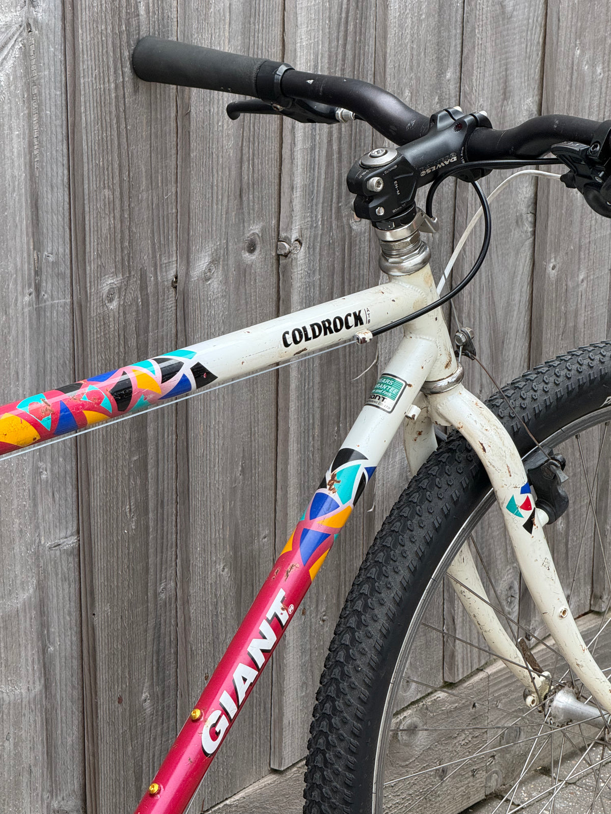 1992 Giant Coldrock